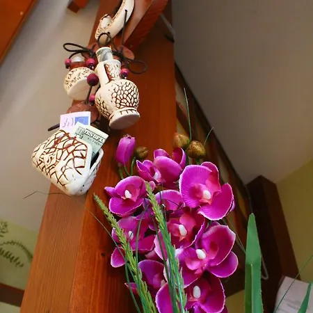 Cafe-motel Goryanka 汽车旅馆